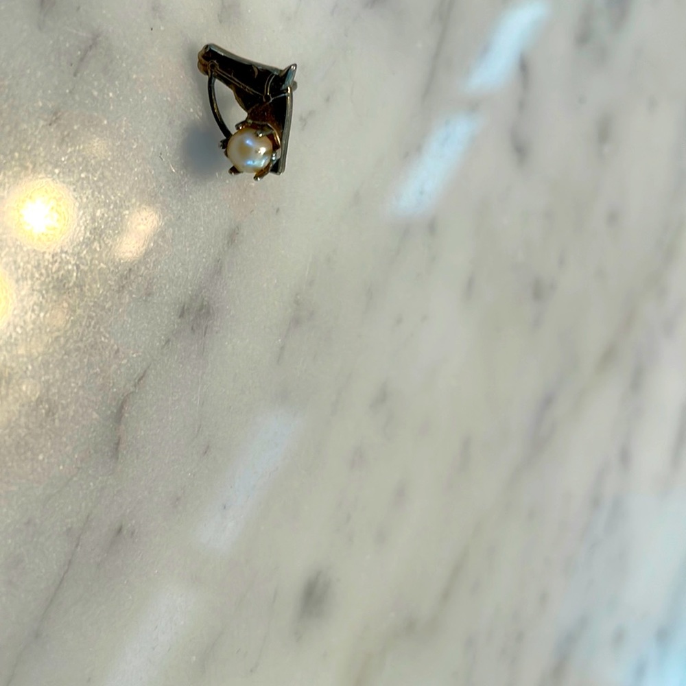 Antique horse head with pearl